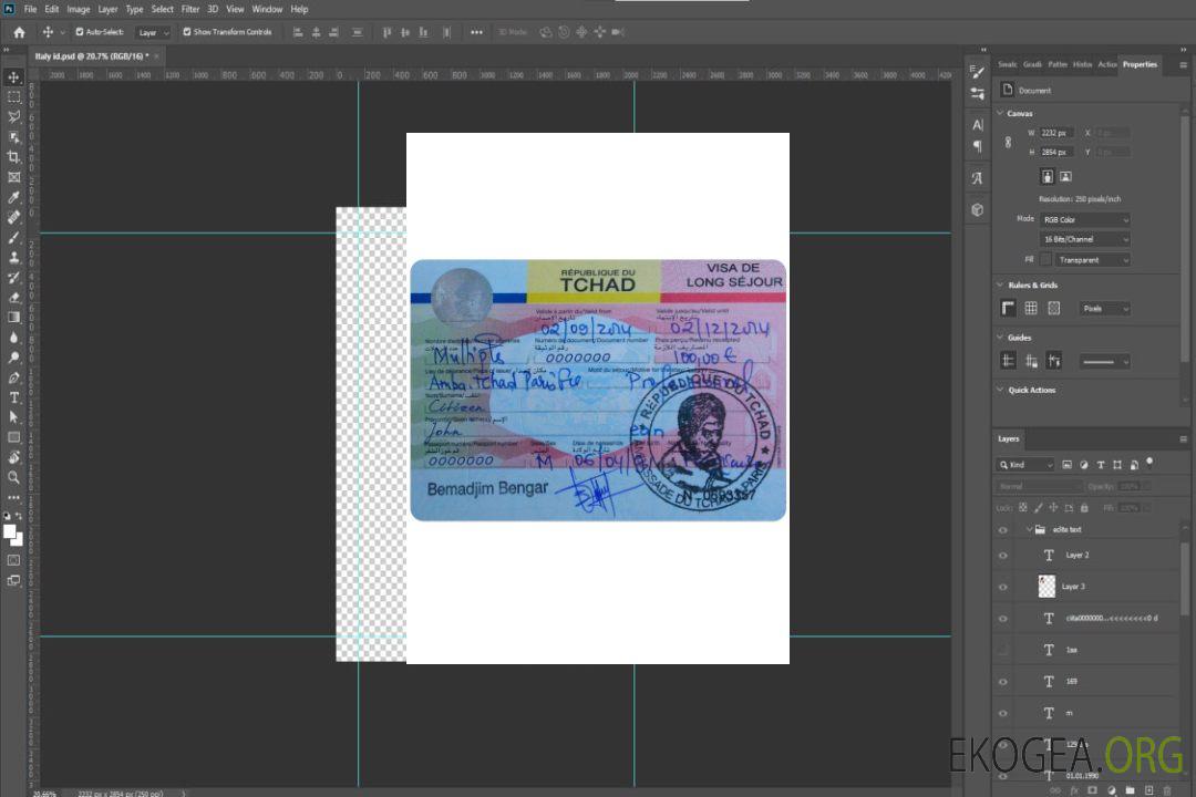 Visa TCHAD template